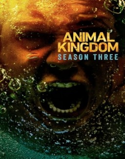 Animal Kingdom S3