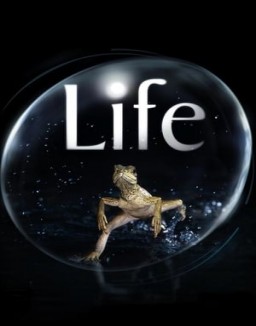 BBC Earth: Life - Das Wunder Leben