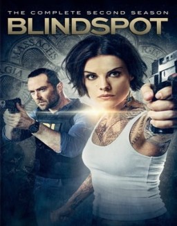 Blindspot staffel  2 stream