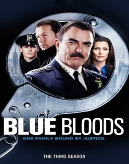 Blue Bloods staffel  3 stream