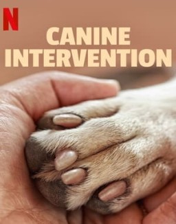 Canine Intervention S1