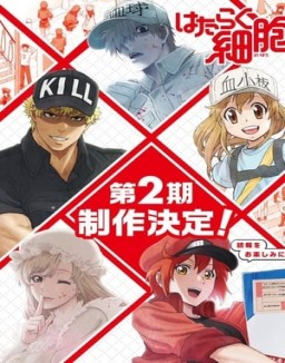 Cells at Work! S2