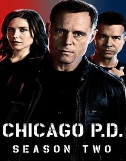 Chicago P.D. staffel  2 stream