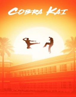 Cobra Kai stream