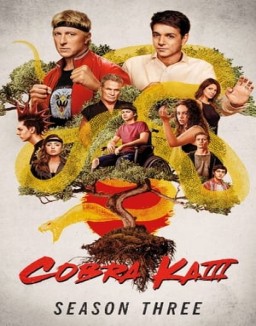 Cobra Kai stream