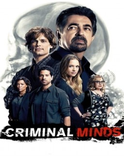 Criminal Minds stream