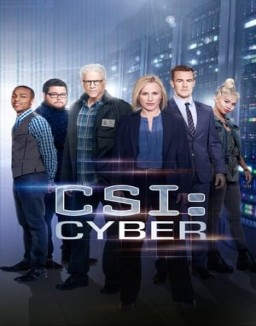 CSI: Cyber staffel  1 stream