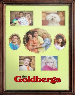 Die Goldbergs stream