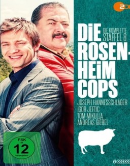 Die Rosenheim-Cops S8