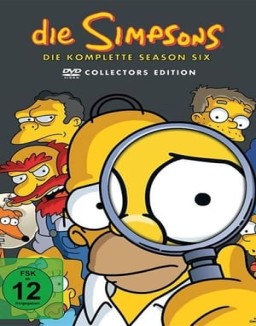 Die Simpsons S6