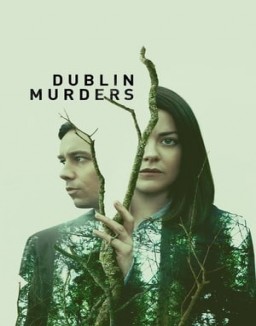 Dublin Murders stream