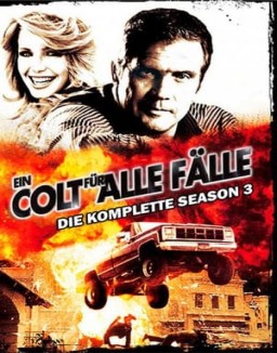 Ein Colt für alle Fälle S3