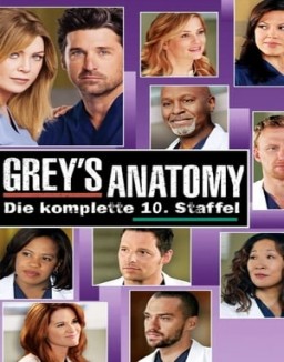 Grey's Anatomy staffel  10 stream