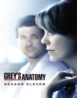 Grey's Anatomy staffel  11 stream
