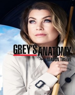 Grey's Anatomy staffel  12 stream