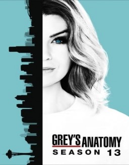 Grey's Anatomy staffel  13 stream