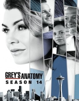 Grey's Anatomy staffel  14 stream