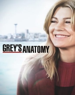 Grey's Anatomy staffel  15 stream