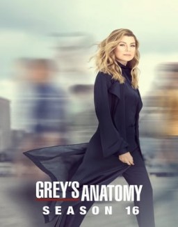 Grey's Anatomy staffel  16 stream