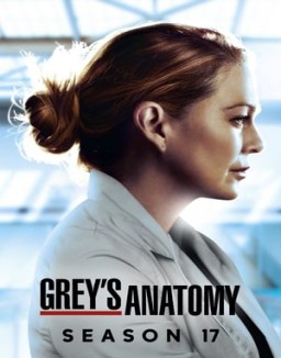 Grey's Anatomy staffel  17 stream