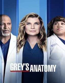 Grey's Anatomy staffel  18 stream