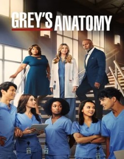 Grey's Anatomy S19