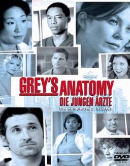 Grey's Anatomy staffel  2 stream