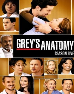 Grey's Anatomy staffel  5 stream