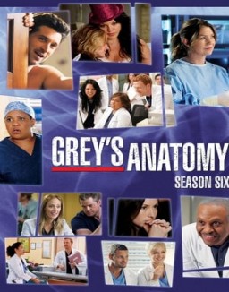 Grey's Anatomy staffel  6 stream