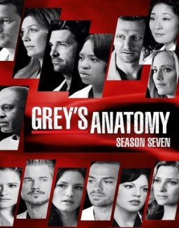 Grey's Anatomy staffel  7 stream