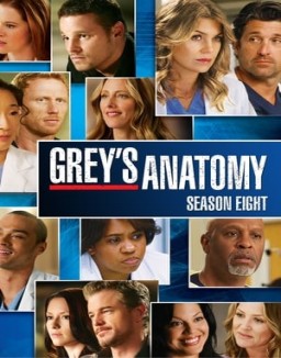 Grey's Anatomy staffel  8 stream