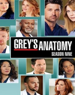 Grey's Anatomy staffel  9 stream