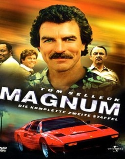 Magnum staffel  2 stream