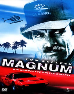 Magnum stream