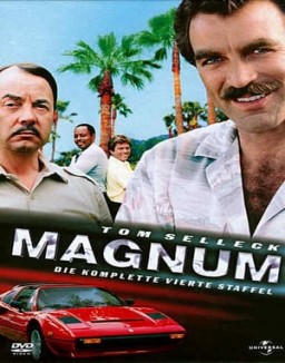 Magnum stream