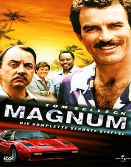 Magnum stream