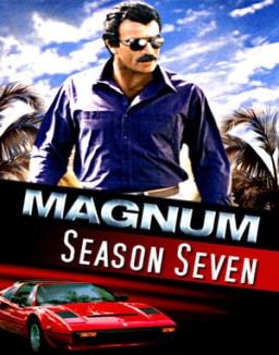 Magnum stream