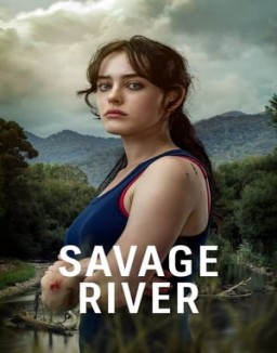 Savage River stream