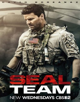 SEAL Team stream