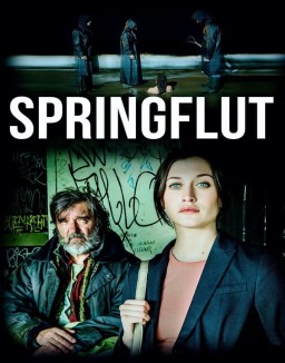 Springflut S1