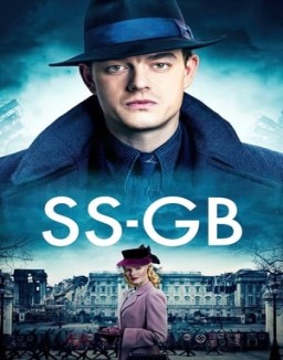 SS-GB stream