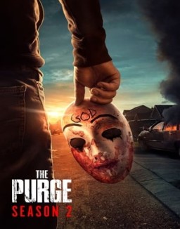 The Purge - Die Säuberung stream