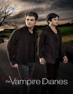 Vampire Diaries staffel  1 stream