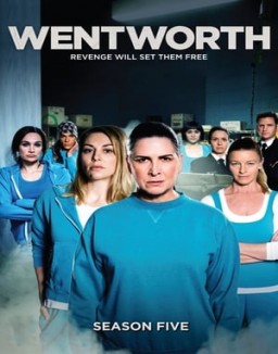 Wentworth S5