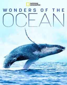 Wonders of the Ocean stream